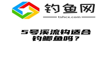 5号溪流钩适合钓鲫鱼吗？