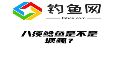 八须鲶鱼是不是塘鲺？