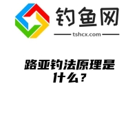 路亚钓法原理是什么？