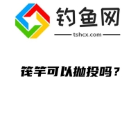 筏竿可以抛投吗？