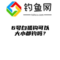 6号白狐钩可以大小都钓吗？