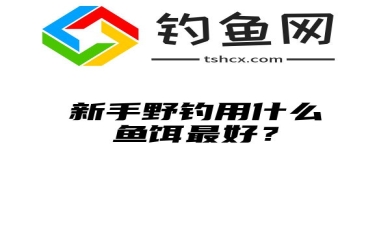 新手野钓用什么鱼饵最好？