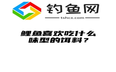 鲤鱼喜欢吃什么味型的饵料？