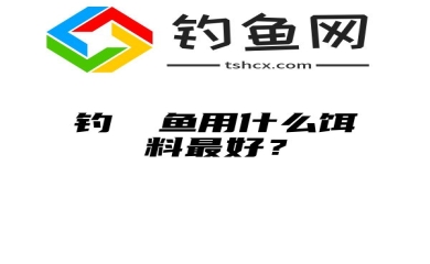 钓鳑鲏鱼用什么饵料最好？