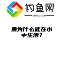 鱼为什么能在水中生活？