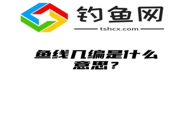 鱼线几编是什么意思？