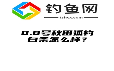 0.8号秋田狐钓白条怎么样？