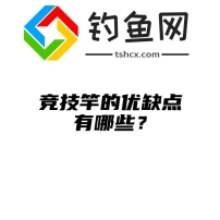 竞技竿的优缺点有哪些？