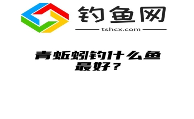 青蚯蚓钓什么鱼最好？