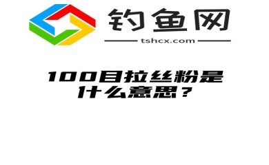 100目拉丝粉是什么意思？