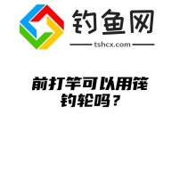 前打竿可以用筏钓轮吗？