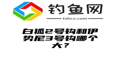 白狐2号钩和伊势尼3号钩哪个大？