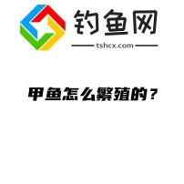 甲鱼怎么繁殖的？