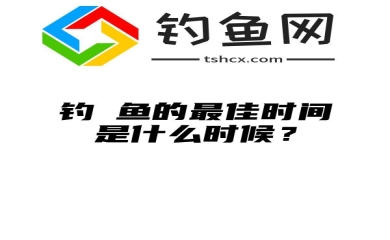 钓鳡鱼的最佳时间是什么时候？