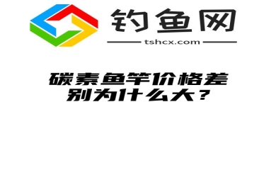 碳素鱼竿价格差别为什么大？