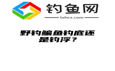 野钓鳊鱼钓底还是钓浮？