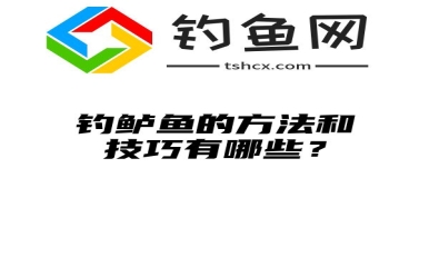 钓鲈鱼的方法和技巧有哪些？