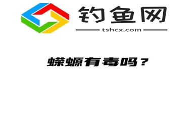 蝾螈有毒吗？