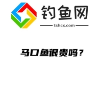 马口鱼很贵吗？