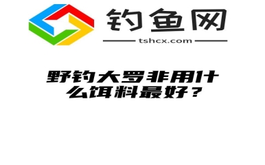 野钓大罗非用什么饵料最好？