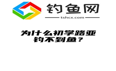 为什么初学路亚钓不到鱼？