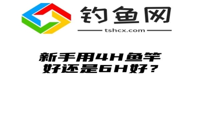 新手用4H鱼竿好还是6H好？