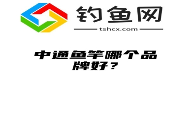 中通鱼竿哪个品牌好？