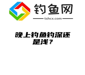 晚上钓鱼钓深还是浅？