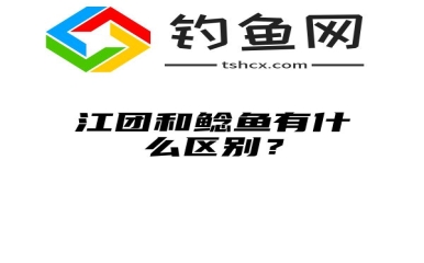 江团和鲶鱼有什么区别？