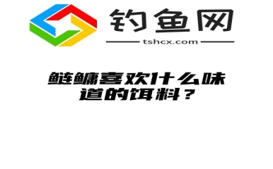 鲢鳙喜欢什么味道的饵料？