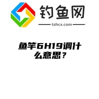 鱼竿6H19调什么意思？