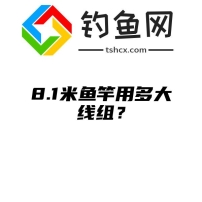 8.1米鱼竿用多大线组？