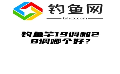 钓鱼竿19调和28调哪个好？