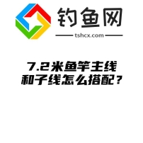 7.2米鱼竿主线和子线怎么搭配？