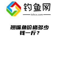 翘嘴鱼价格多少钱一斤？