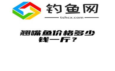 翘嘴鱼价格多少钱一斤？