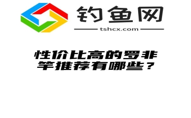 性价比高的罗非竿推荐有哪些？