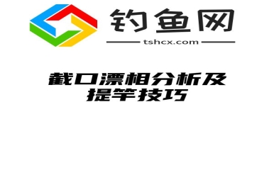 截口漂相分析及提竿技巧