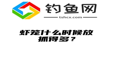 虾笼什么时候放抓得多？