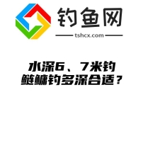 水深6、7米钓鲢鳙钓多深合适？