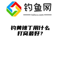 钓黄辣丁用什么打窝最好？