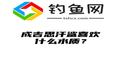 成吉思汗鲨喜欢什么水质？