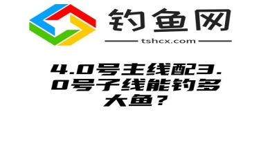 4.0号主线配3.0号子线能钓多大鱼？