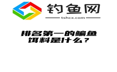 排名第一的鳊鱼饵料是什么？