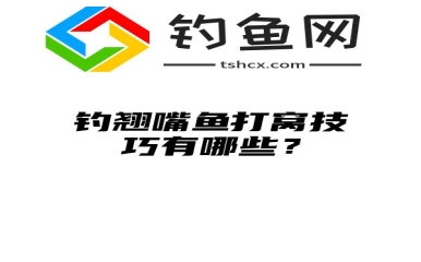 钓翘嘴鱼打窝技巧有哪些？