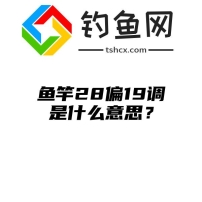 鱼竿28偏19调是什么意思？