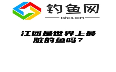 江团是世界上最脏的鱼吗？