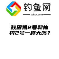 秋田狐2号和袖钩2号一样大吗？