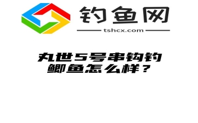 丸世5号串钩钓鲫鱼怎么样？