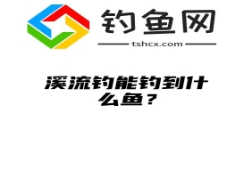 溪流钓能钓到什么鱼？